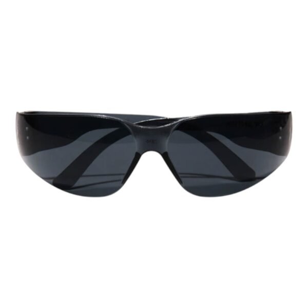Goggles Black Frontier
