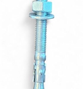 Wedge Anchor 12x100 Ferry ₹14.40